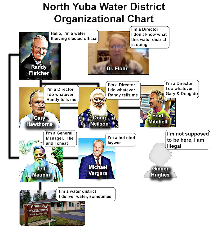 Organizational Chart